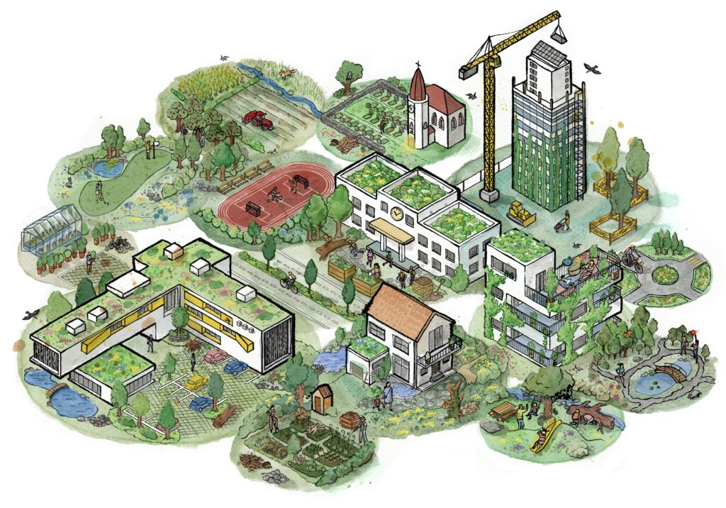 Bild 12 BioDiversitätJetzt